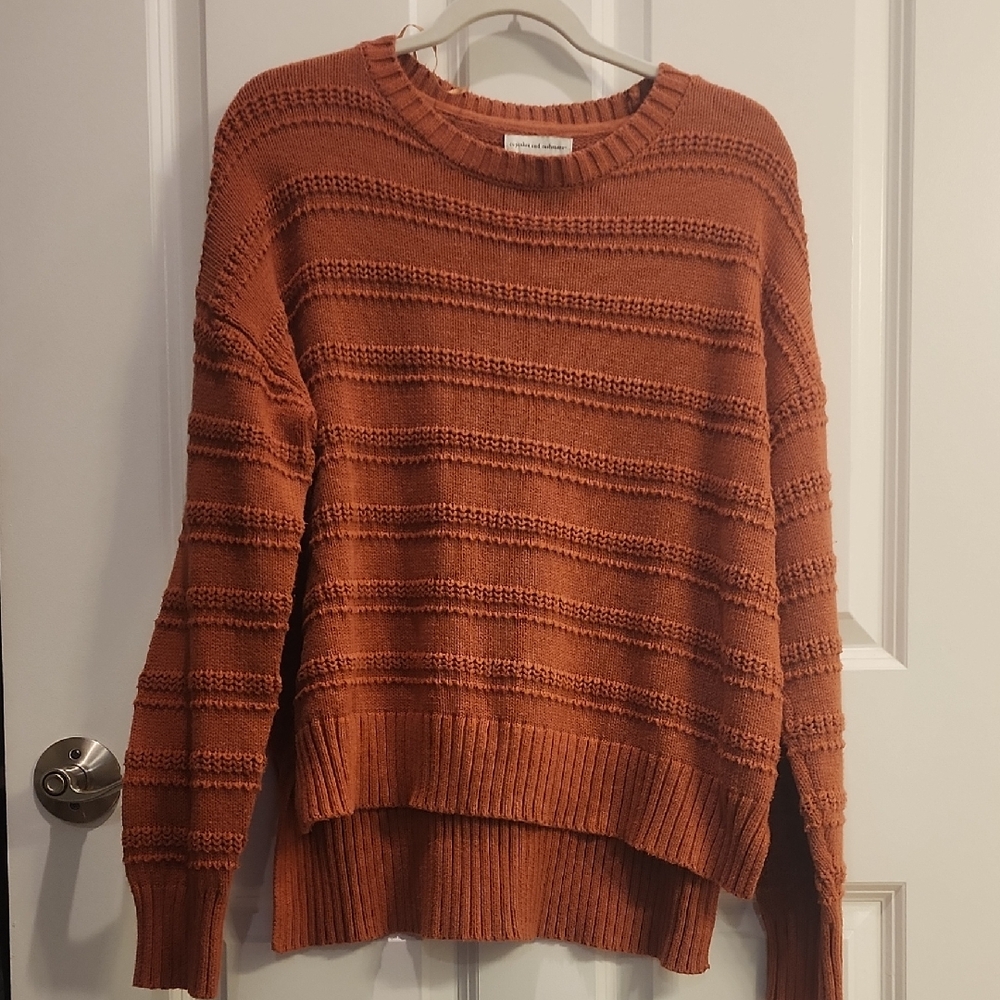 Cupcakes & Cashmere rust Crew Neck Sweater with Textured Stripes